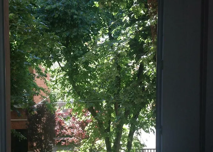 Procaccini בולוניה